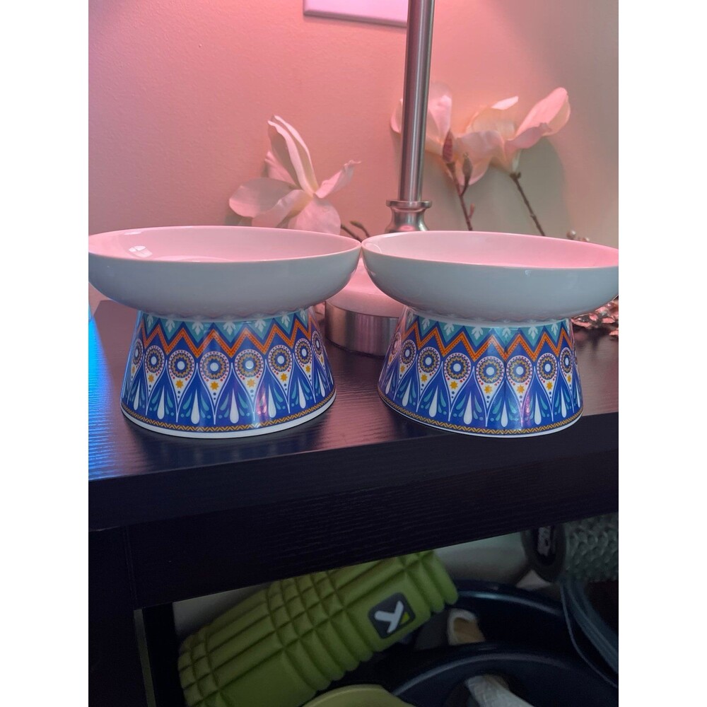Set of 2 Decorative Ceramic Pet Food Bowls; prevent whisker fatigue